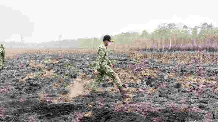 Kepala BNPB Letjen TNI Kristomei Sianturi memantau pemadaman karhutla membara di lahan gambut Way Kambas