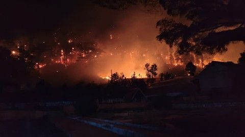 Petugas BPBD Jawa Barat dan relawan melakukan pemadaman saat amuk api karhutla membara di Jabar.
